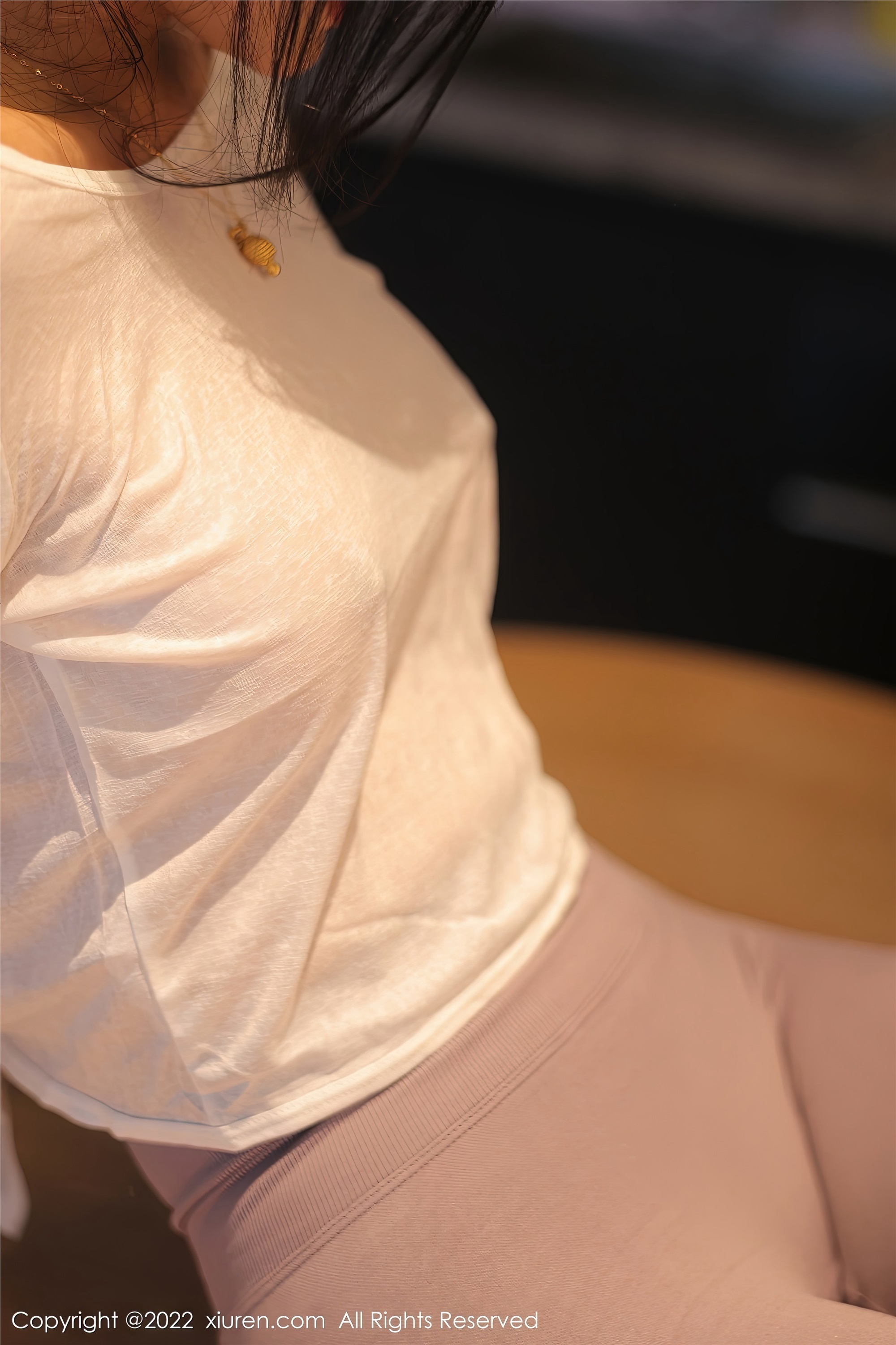 Xiuren秀人网 2022.11.03 NO.5799 苏苏阿